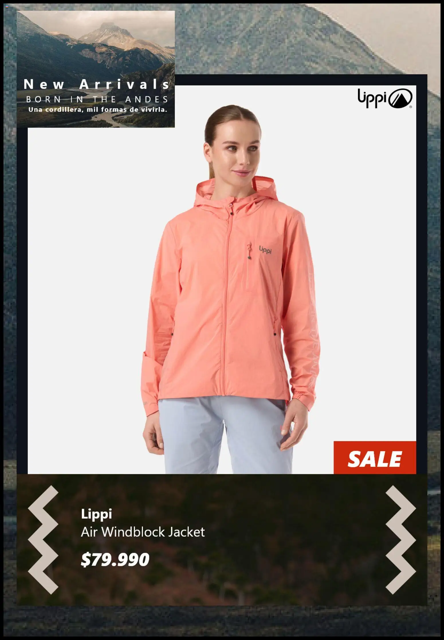 Lippi ofertas  │ válido desde el 12.11.2025 | Página: 2