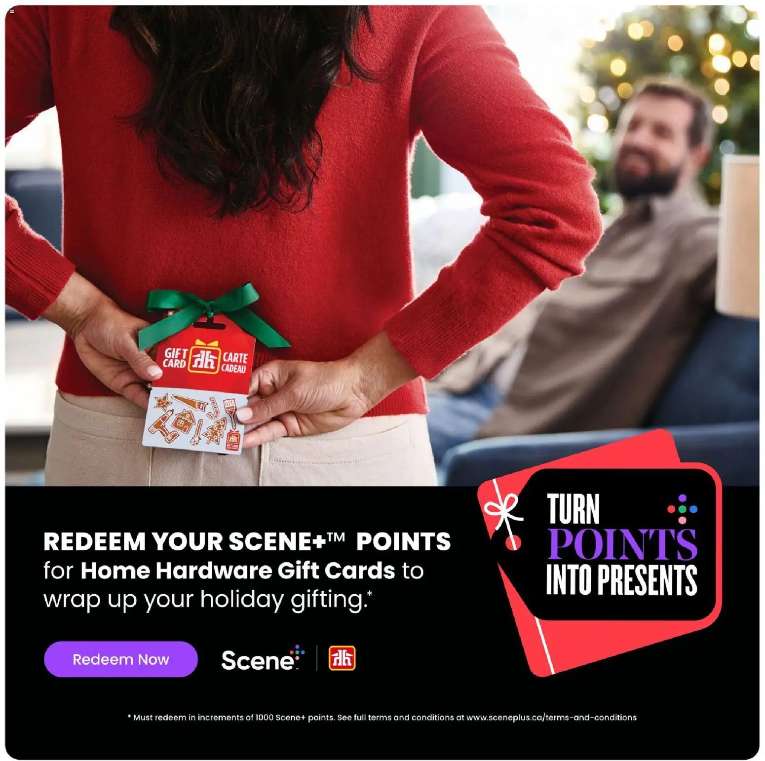 Home Hardware flyer valid from 18.12.2025 | Page: 3