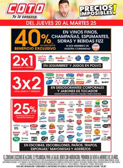 Vista previa Coto - Salon Motivo válido desde el 20.11.2025