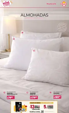 Vista previa de Del Sol y Woolworth catálogo Si Mamá Lo Quiere, ¡Lo Tenemos, nuevo folleto de la tienda, válido en México a partir del 16.04.2026 | Página: 15 | Productos: Monedero, Almohada