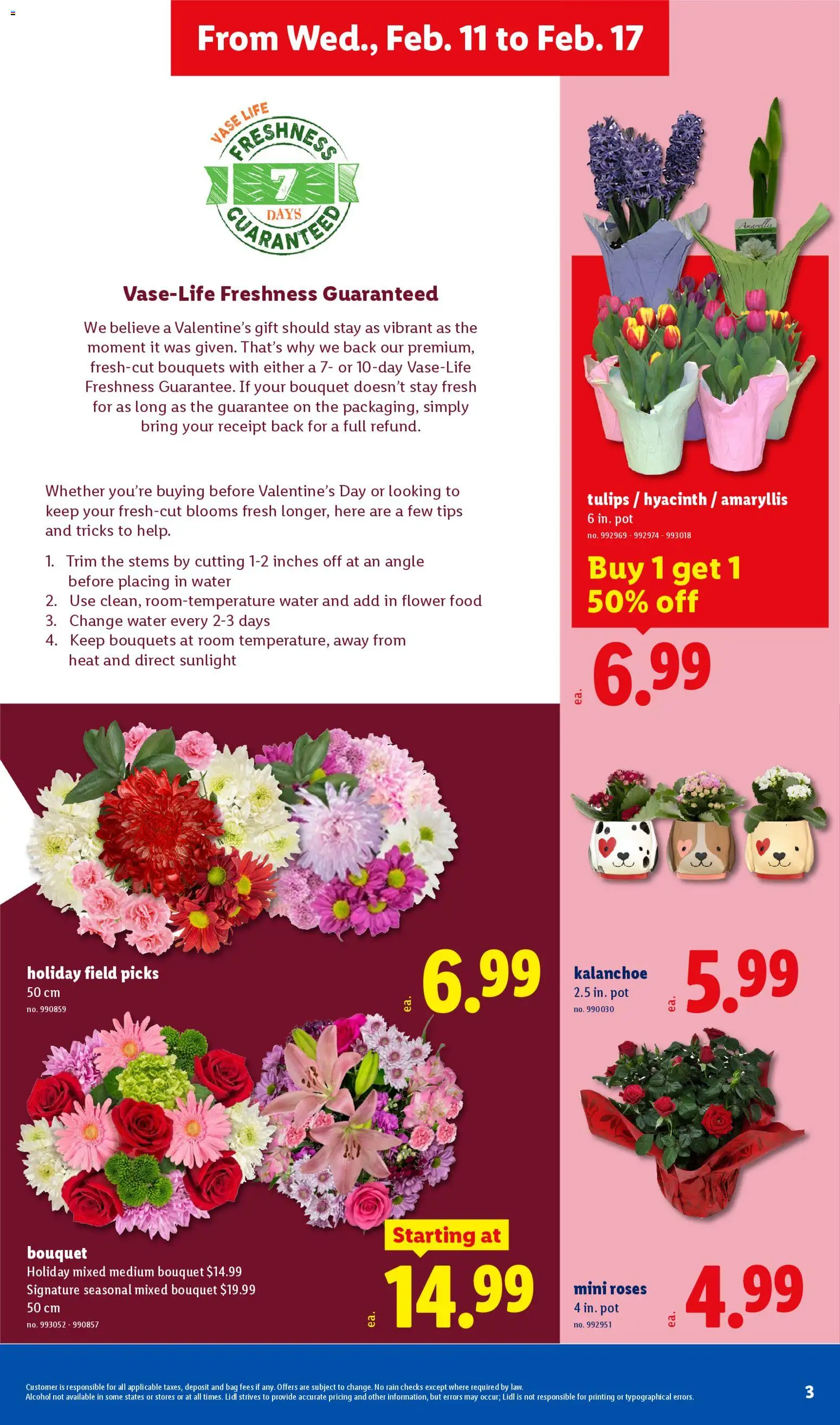 Lidl Weekly Ad - valid from 11.02.2026 | Page: 3