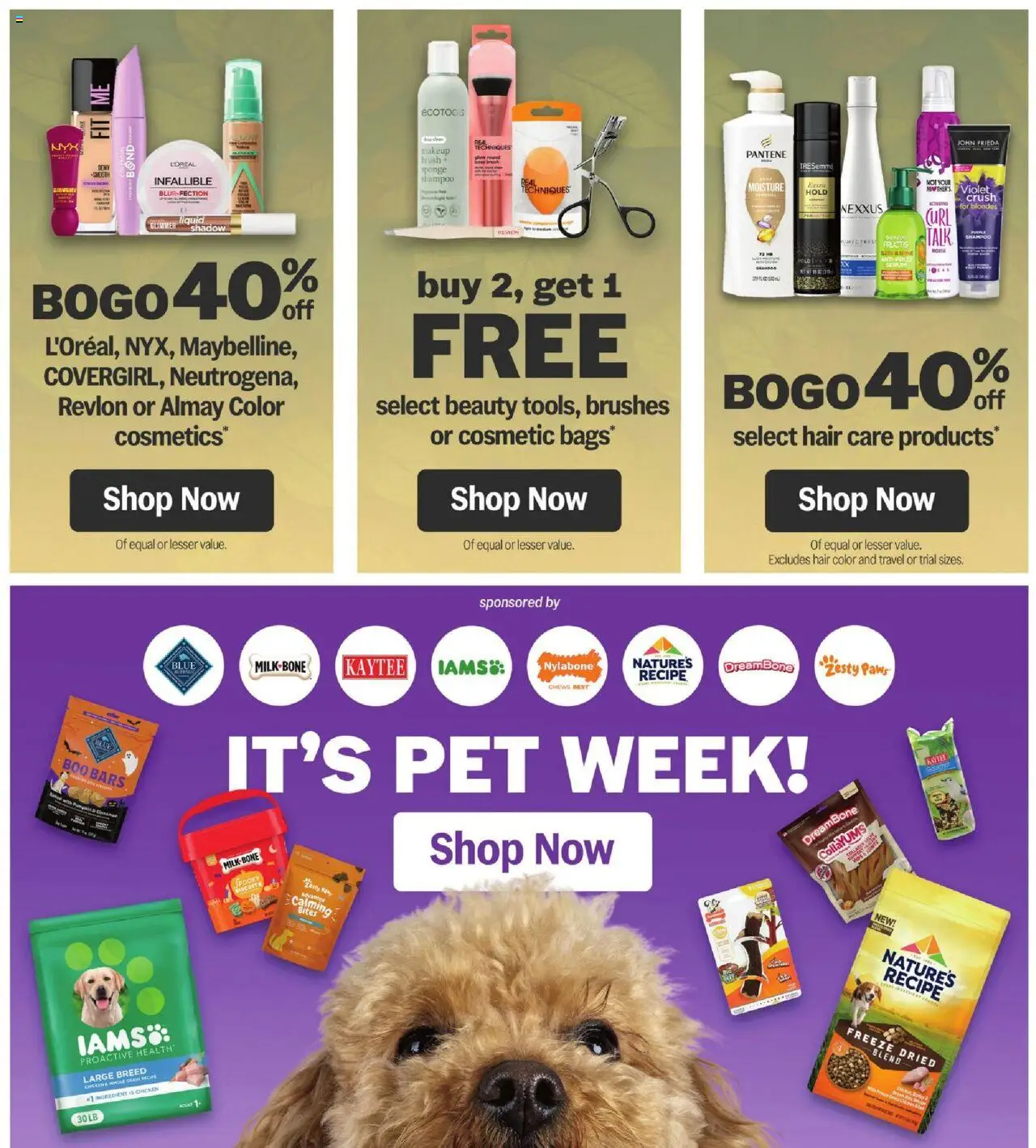 Meijer Weekly Ad - valid from 24.09.2025 | Page: 42 | Products: Brush, Hair color, Sponge, Pumpkin