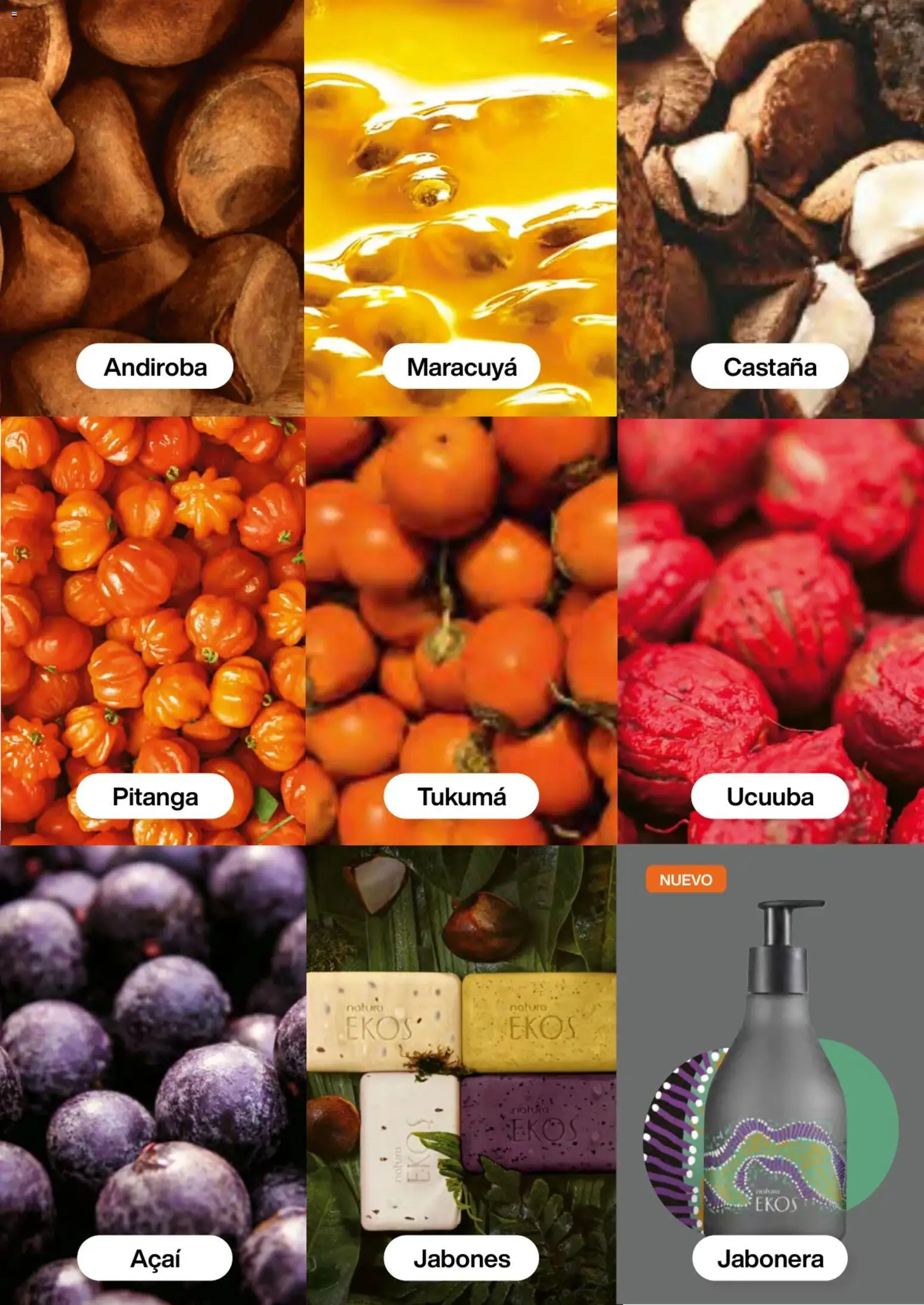 Natura revista - valida desde el 02.01.2026 | Página: 105 | Productos: Jabonera, Maracuyá