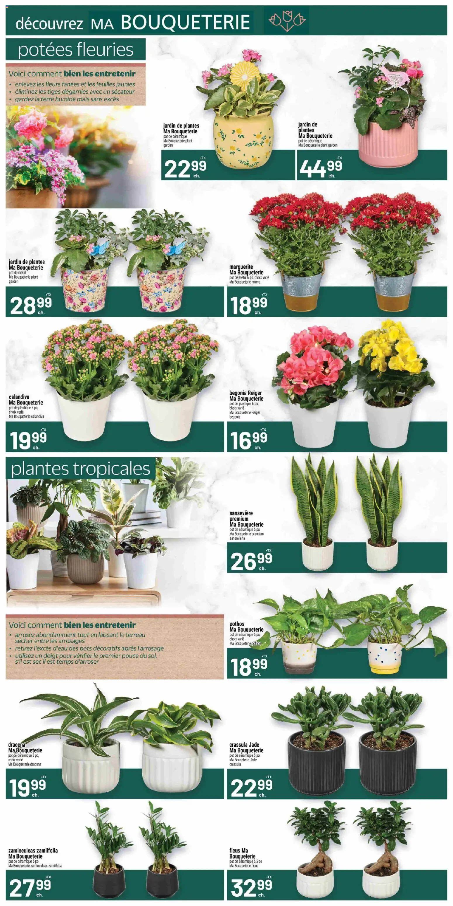 Metro flyer valid from 16.04.2026 | Page: 8