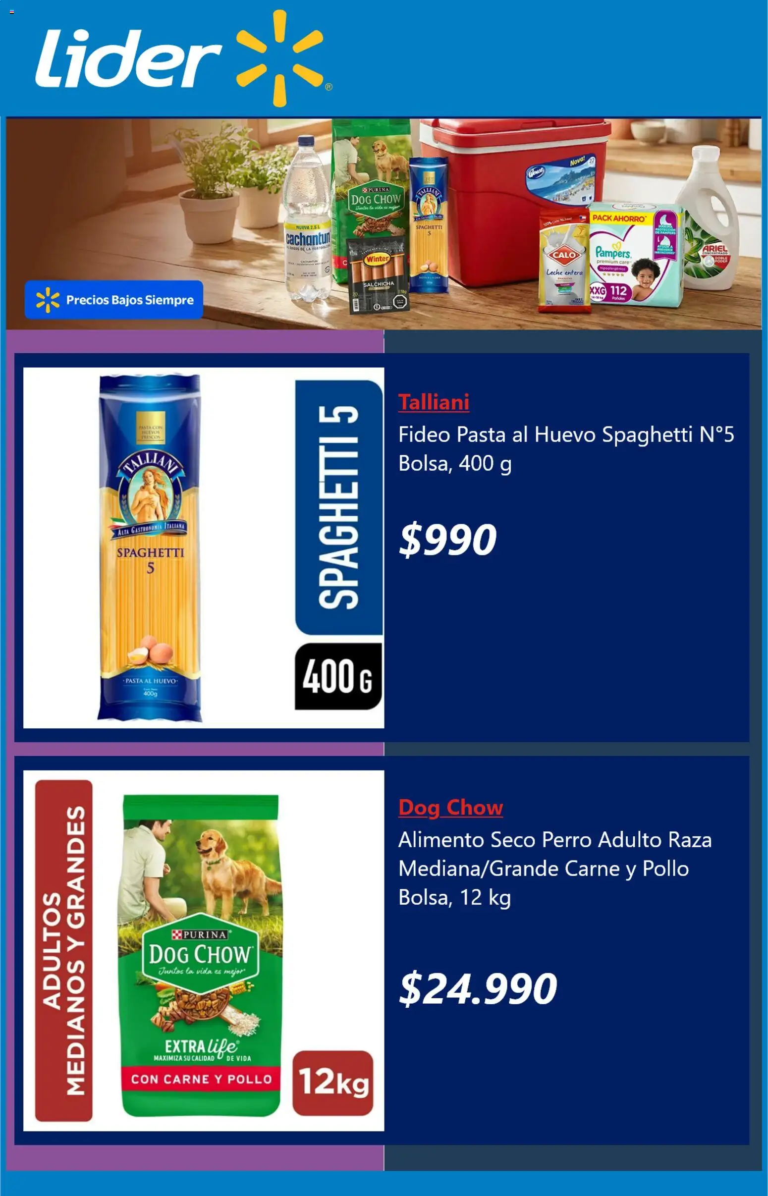 Lider ofertas  │ válido desde el 29.01.2026 | Página: 3