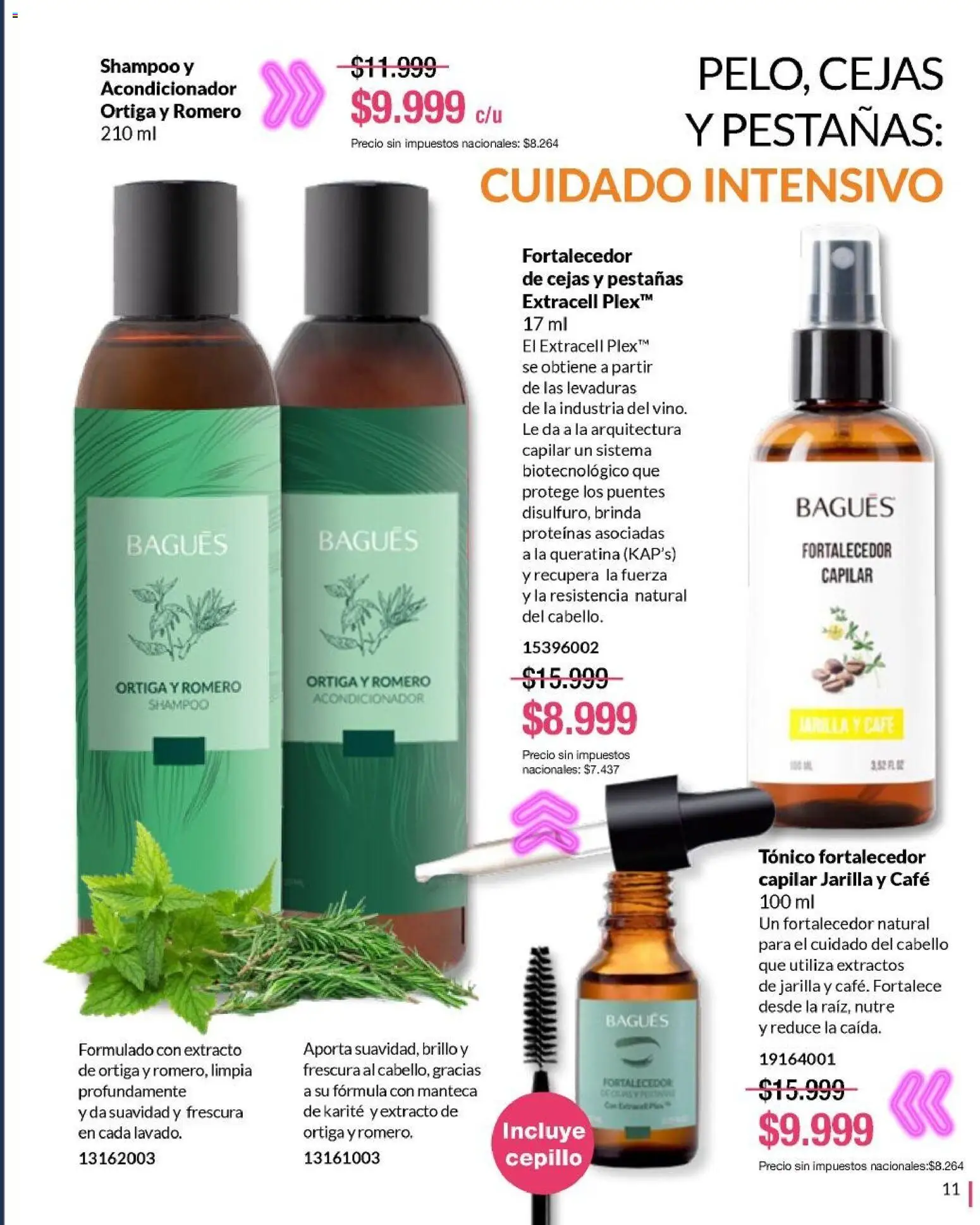 Bagués - Catálogo │ válido desde el 20.10.2025 | Página: 11 | Productos: Cepillo, Shampoo, Acondicionador, Café
