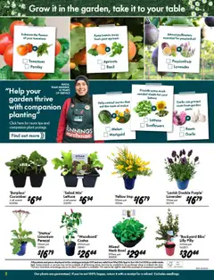 Bunnings Warehouse catalogue - valid from 10.09.2025 | Page: 2 | Products: Herb, Tomatoes, Melon, Salad