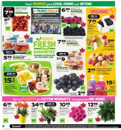 Thrifty Foods flyer valid from 11.09.2025 | Page: 3 | Products: Potatoes, Basket, Yogurt, Tomatoes
