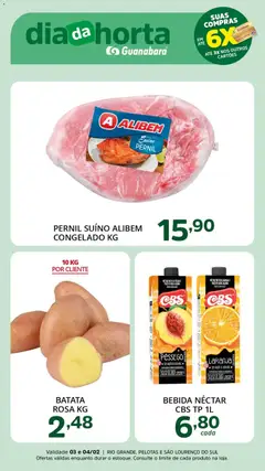 Supermercado Guanabara - Ofertas da semana - Pré-Visualização do folheto da loja Supermercado Guanabara, válido de 03.02.2026 | Página: 3