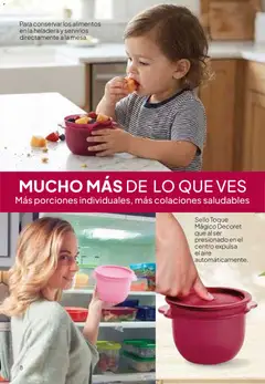 Vista previa Tupperware Folleto válido desde el 09.03.2026 | Página: 9 | Productos: Heladera