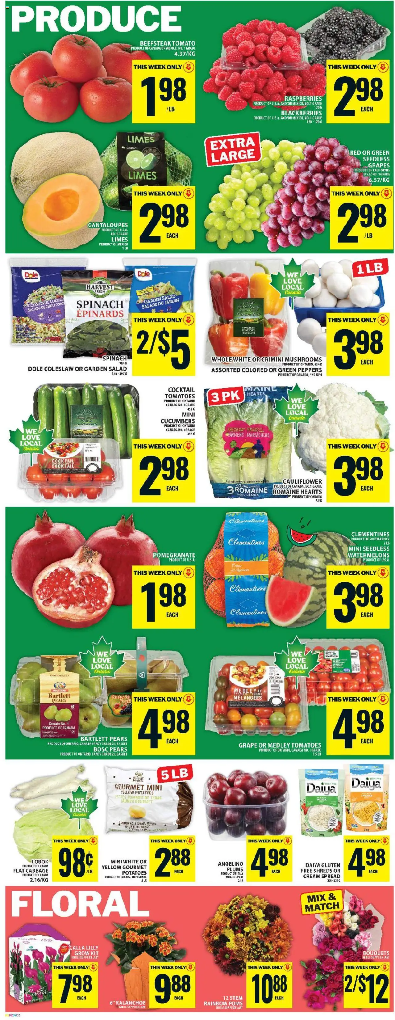 Food Basics flyer valid from 16.10.2025 | Page: 4