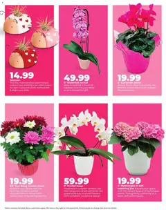 Preview of HyVee weekly ads valid from 02.02.2026 | Page: 6