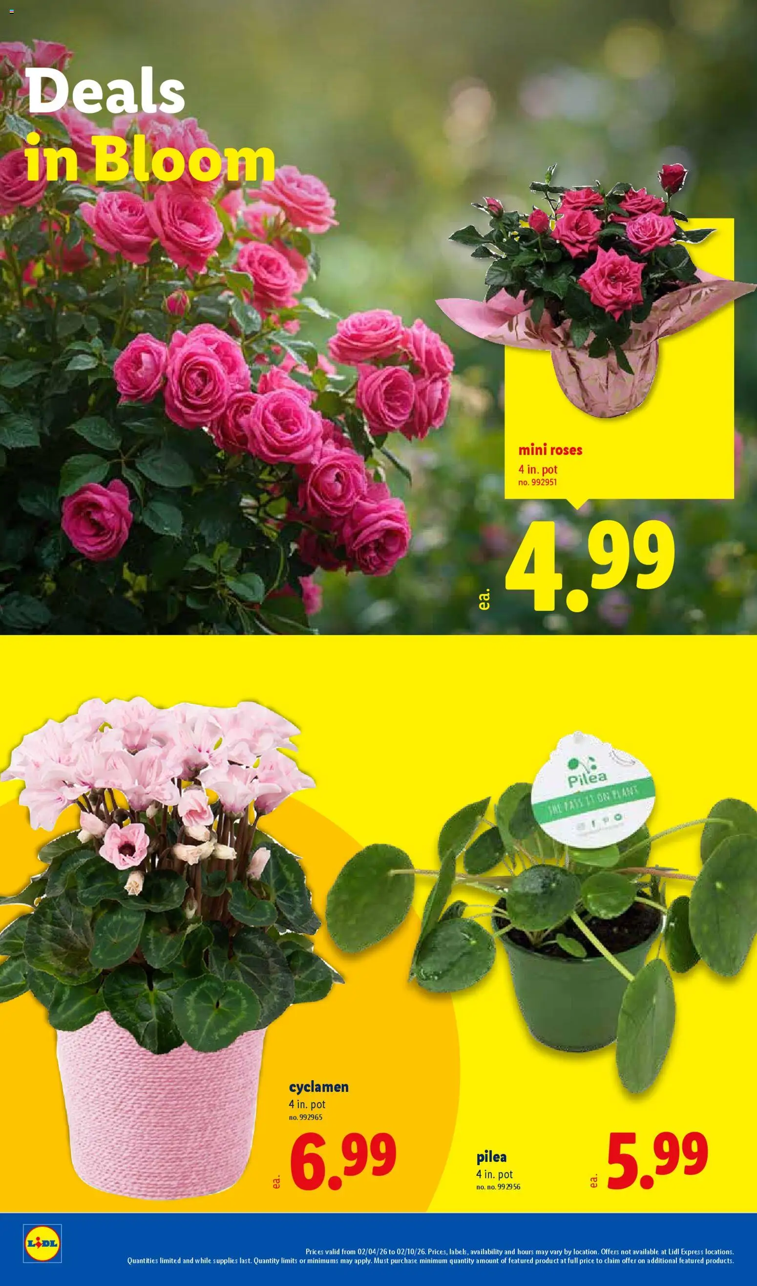 Lidl Weekly Ad - valid from 04.02.2026 | Page: 28