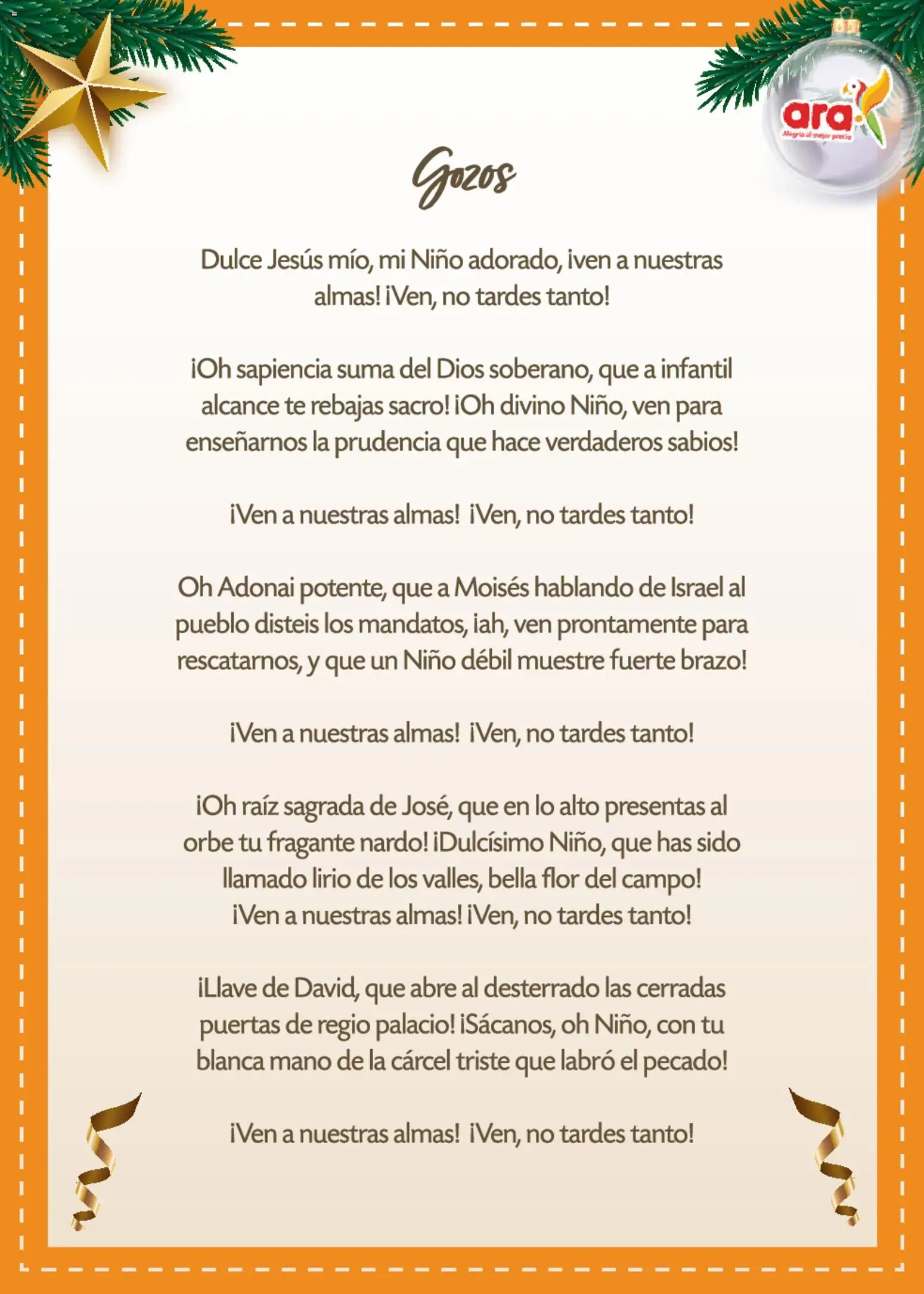 Ara revista - valida desde el 17.12.2025 | Página: 8 | Productos: Té