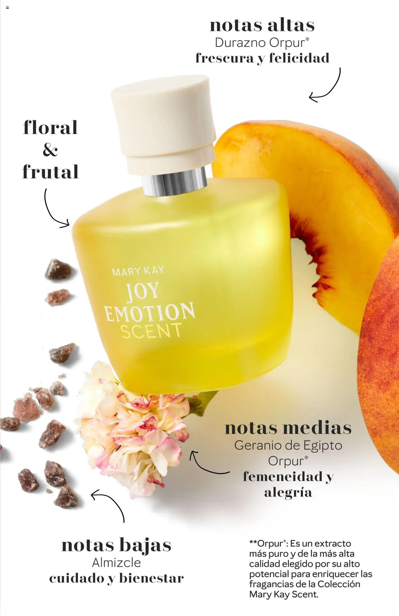 Mary Kay catálogo │ válido desde el 01.03.2025 | Página: 6 | Productos: Durazno, Medias