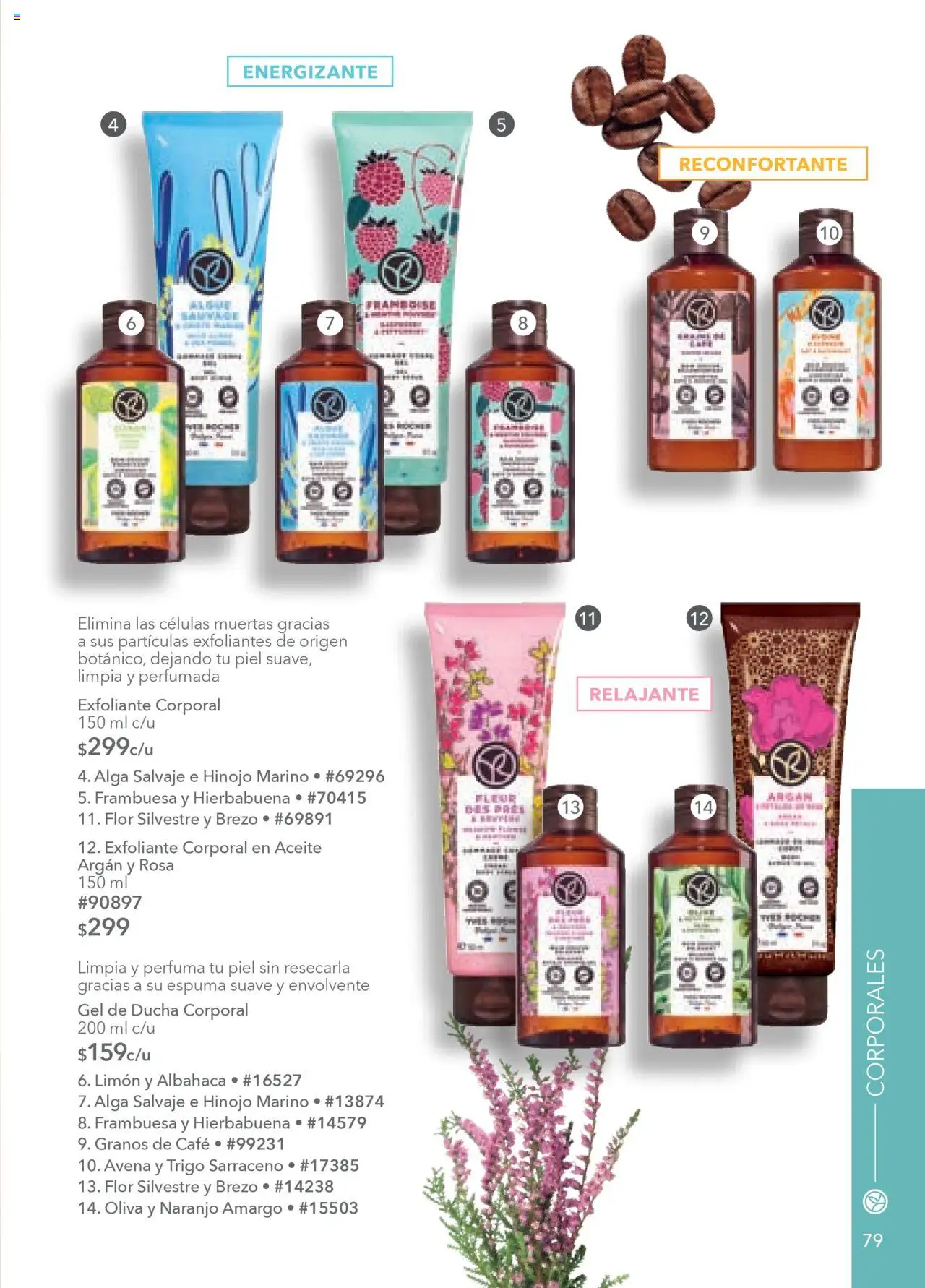 Nuevas ofertas de Yves Rocher válidas en toda la República Mexicana desde el 05.08.2025. ¡Encuentra las mejores ofertas en Yves Rocher - Campaña 11 2025! | Página: 81 | Productos: Avena, Hinojo, Aceite, Espuma
