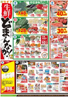 13.12.2025から有効なオファーを含む ライフ - チラシ