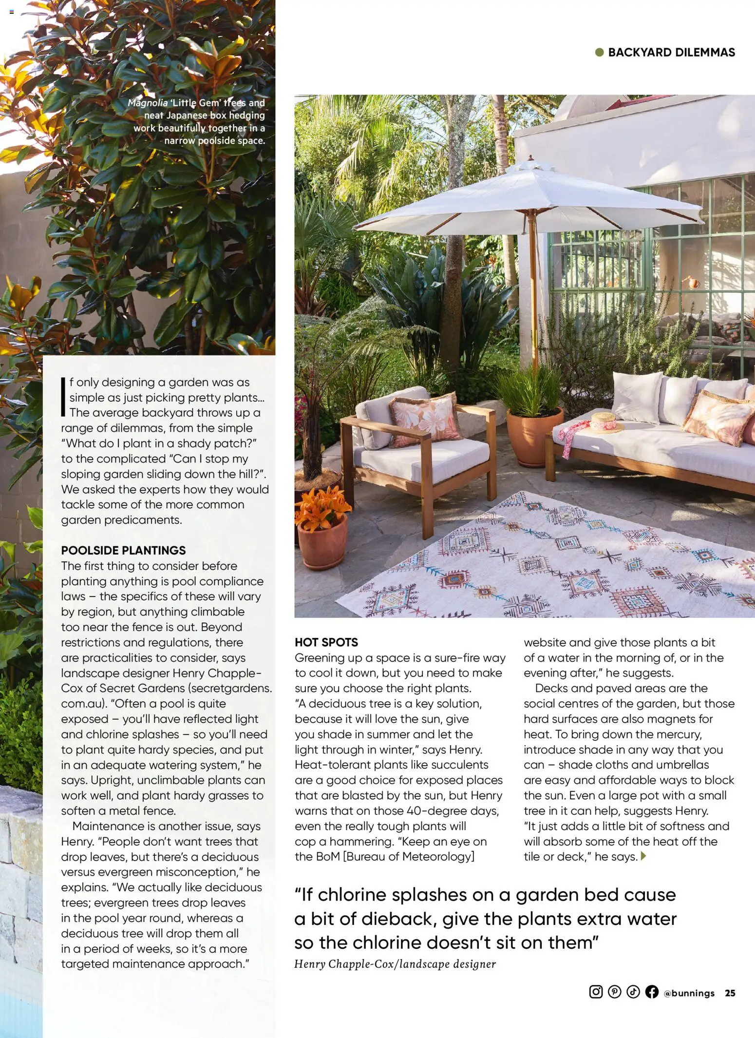 Bunnings Warehouse catalogue - valid from 01.02.2026 | Page: 25 | Products: Box, Fence, Light, Plant