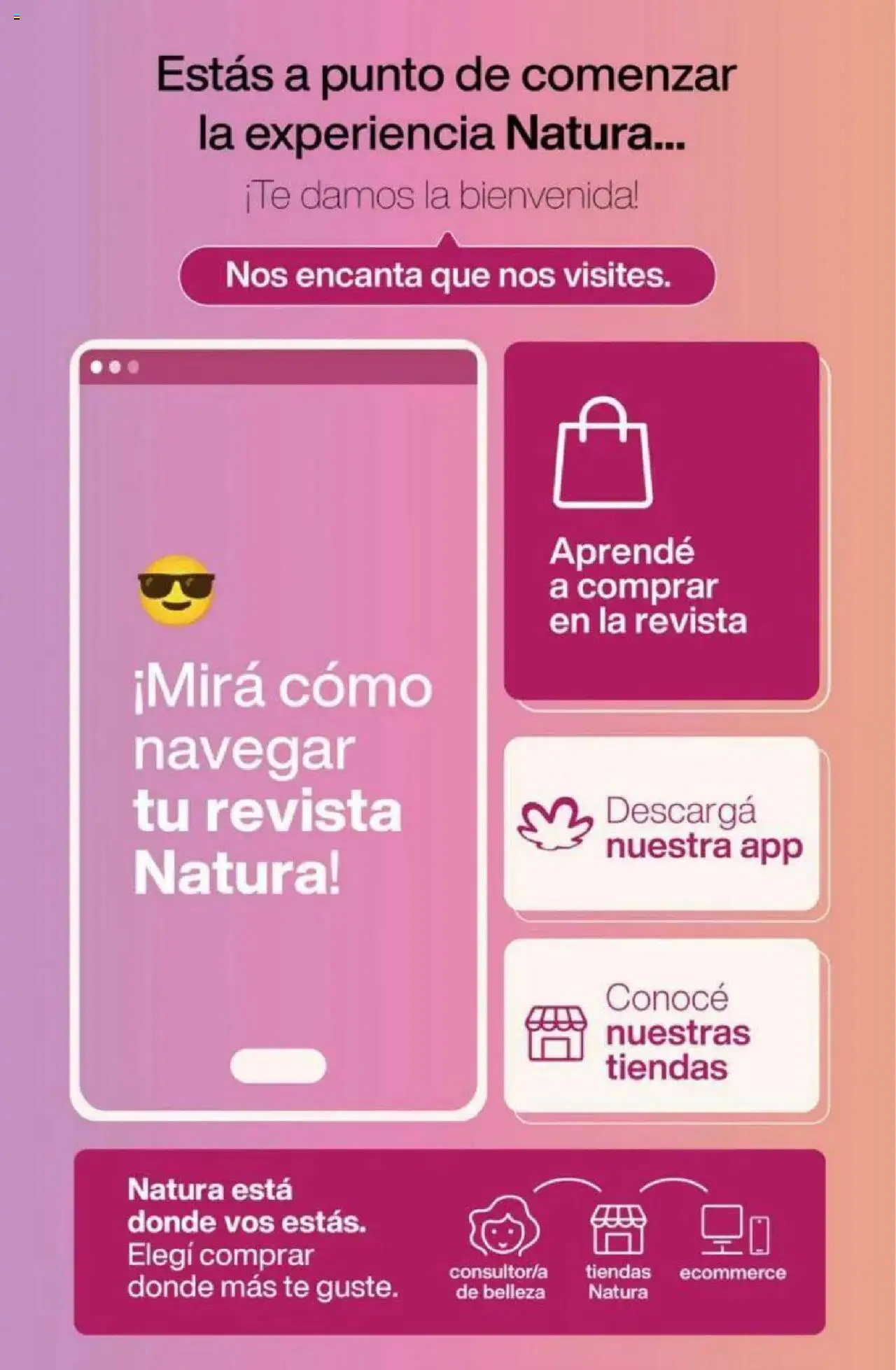 Catálogo Natura Ciclo 11 │ válido desde el 11.08.2025 | Página: 2 | Productos: Té