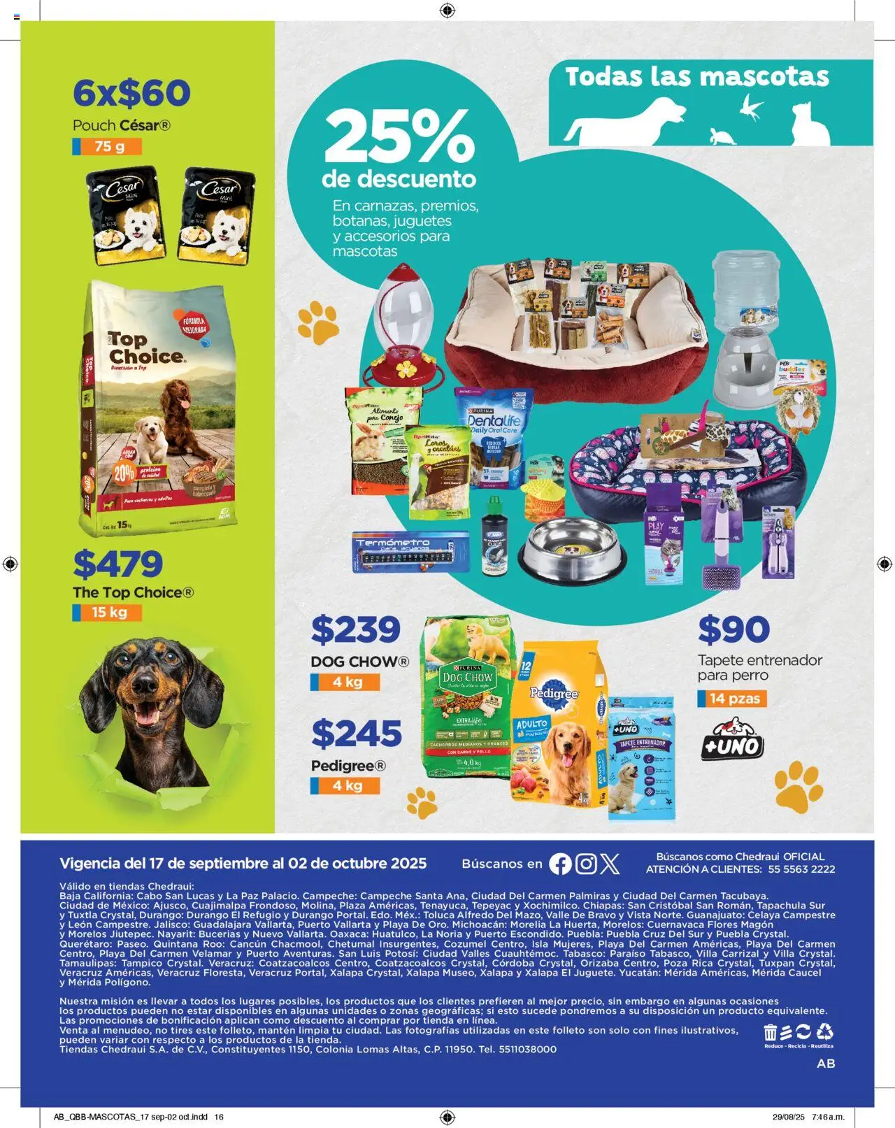 Nuevas ofertas de Chedraui válidas en toda la República Mexicana desde el 17.09.2025. ¡Encuentra las mejores ofertas en Chedraui - Promociones! | Página: 16 | Productos: Pollo, Termómetro, Top, Tapete