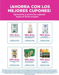 Alvi catálogo válido desde el 01.10.2025 | Página: 22