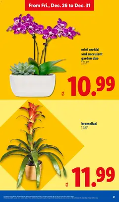 Preview of Lidl weekly ads valid from 26.12.2025 | Page: 21 | Products: Bag