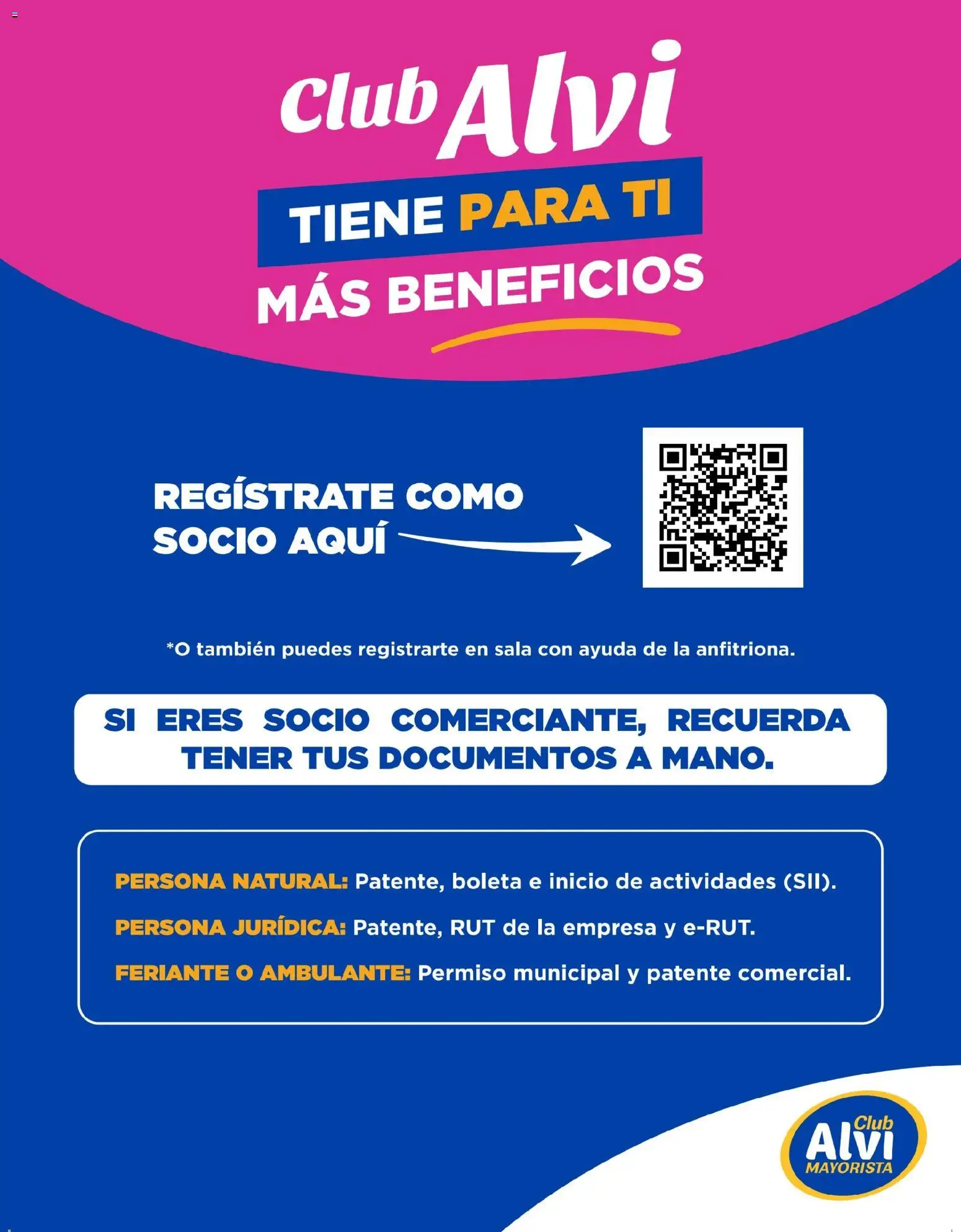 Alvi catálogo │ válido desde el 14.01.2026 | Página: 11