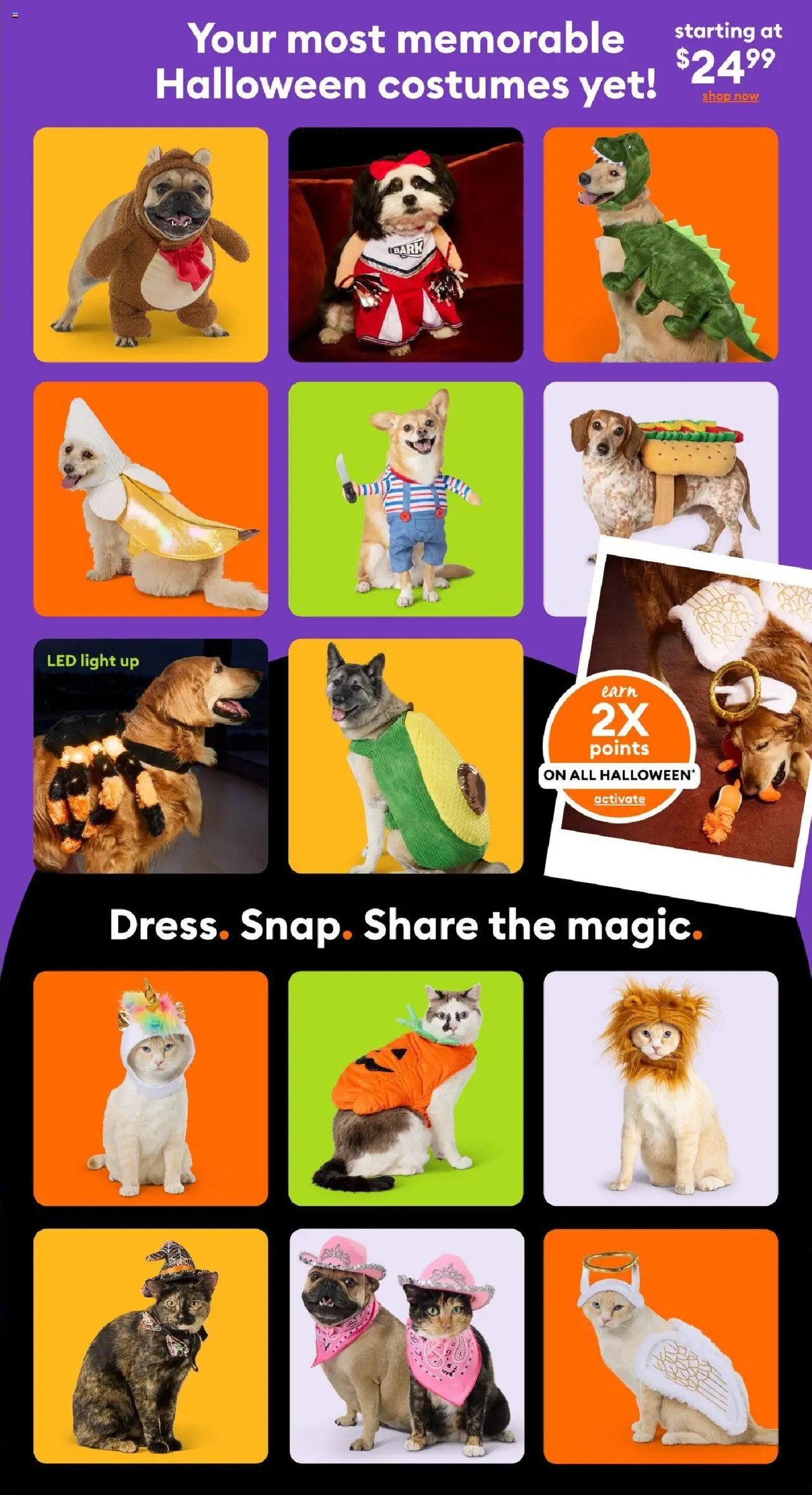 Petsmart flyer valid from 08.09.2025 | Page: 2