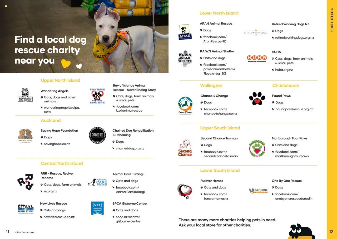 Animates catalogue from 01.01.2024 | Page: 7