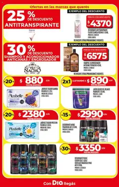 Supermercado DIA Ofertas │ válido desde el 13.08.2025 | Página: 21 | Productos: Jabón líquido, Shampoo, Jabón, Desodorante