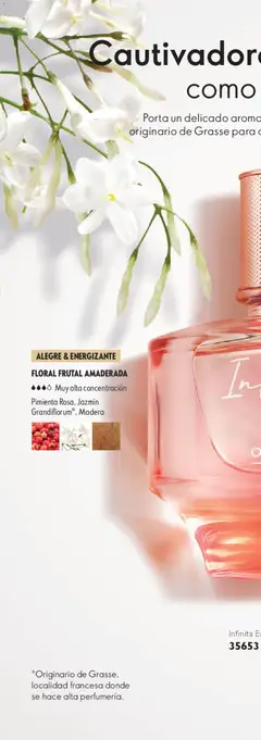 Vista previa de Oriflame campaña 6 2026, nuevo folleto de la tienda, válido en México a partir del 18.04.2026 | Página: 56 | Productos: Pincel, Bolso, Bálsamo, Mate