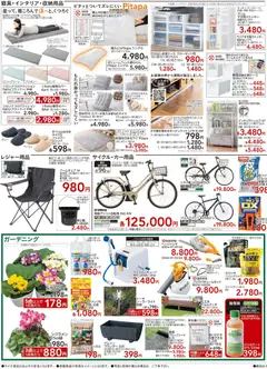 10.12.2025から有効なオファーを含む カインズ ホーム - Power Sale | ページ: 3 | 製品: アームチェア, プランター, シャワー