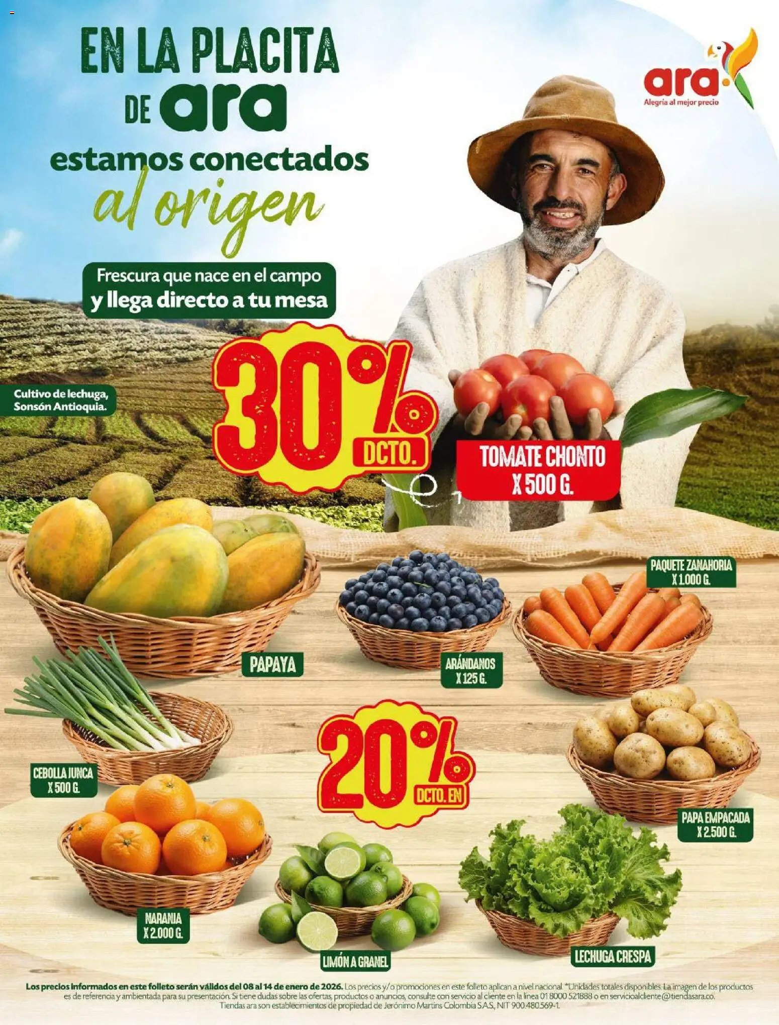 Ara revista - valida desde el 08.01.2026 | Página: 1 | Productos: Lechuga, Tomate, Papa, Papaya