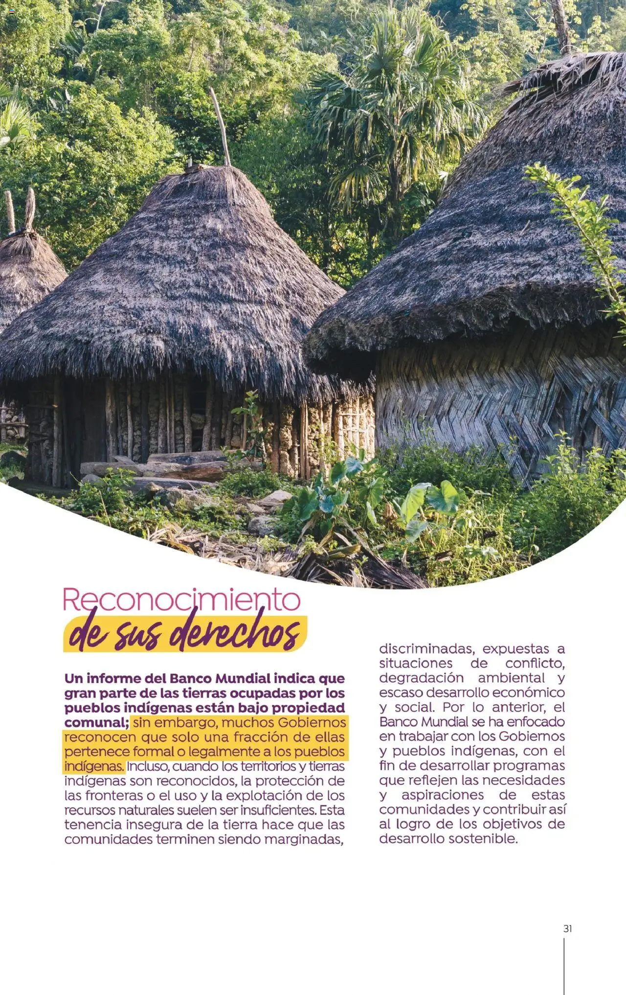 Colsubsidio revista - valida desde el 01.08.2025 | Página: 31 | Productos: Banco