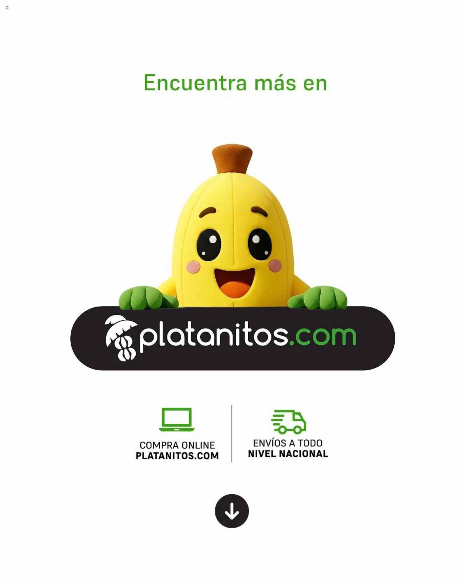 Catálogo Platanitos válido desde 09.03.2026 | Página: 5