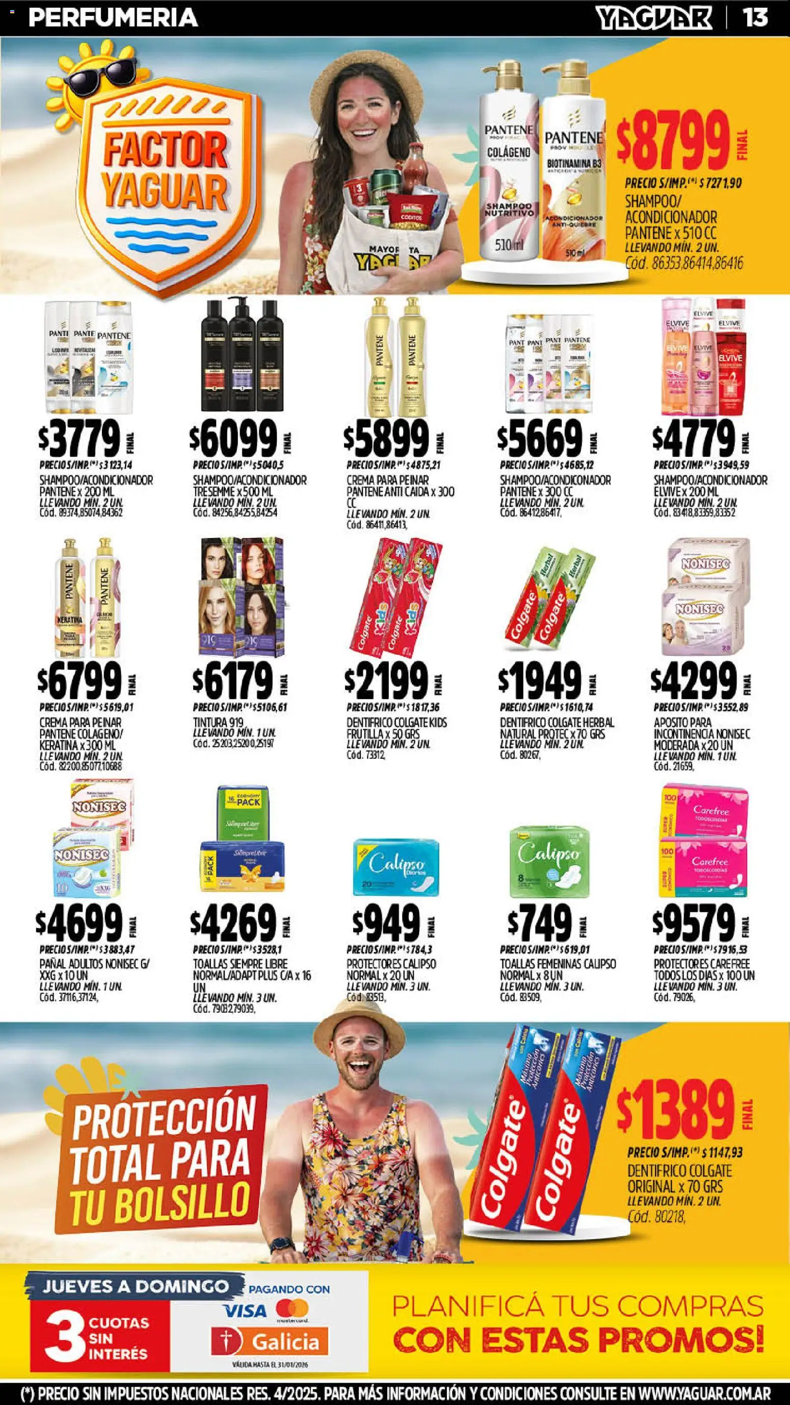 Yaguar catálogo │ válido desde el 12.01.2026 | Página: 13 | Productos: Toallas, Frutilla, Tintura, Acondicionador