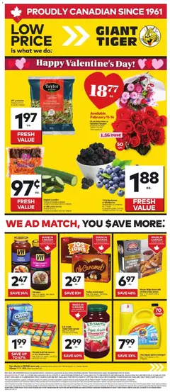 Preview of Giant Tiger Weekly Flyer from shop Giant Tiger valid from 11.02.2026