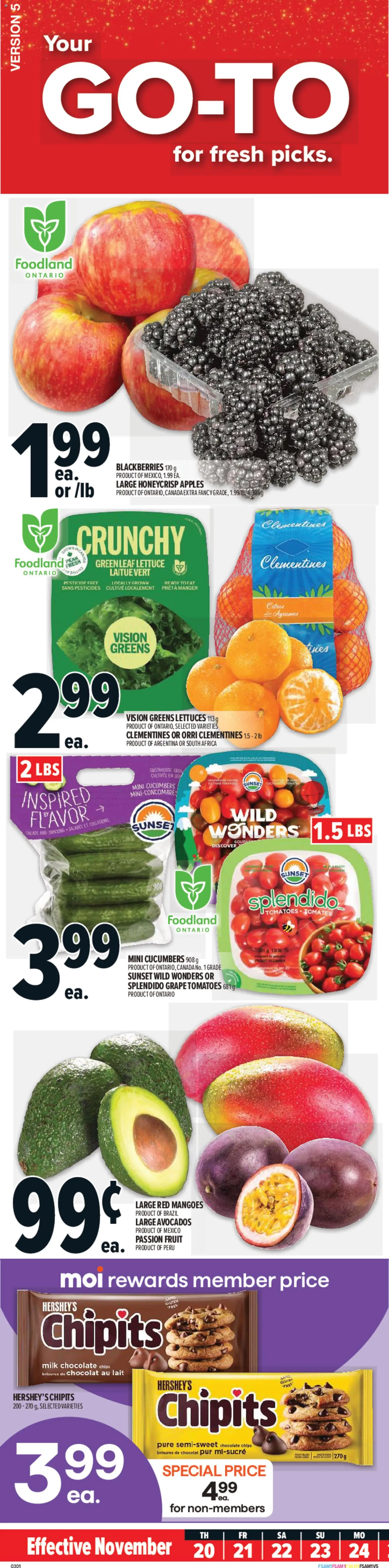 Metro flyer valid from 20.11.2025 | Page: 1 | Products: Cucumbers, Milk, Apples, Tomatoes