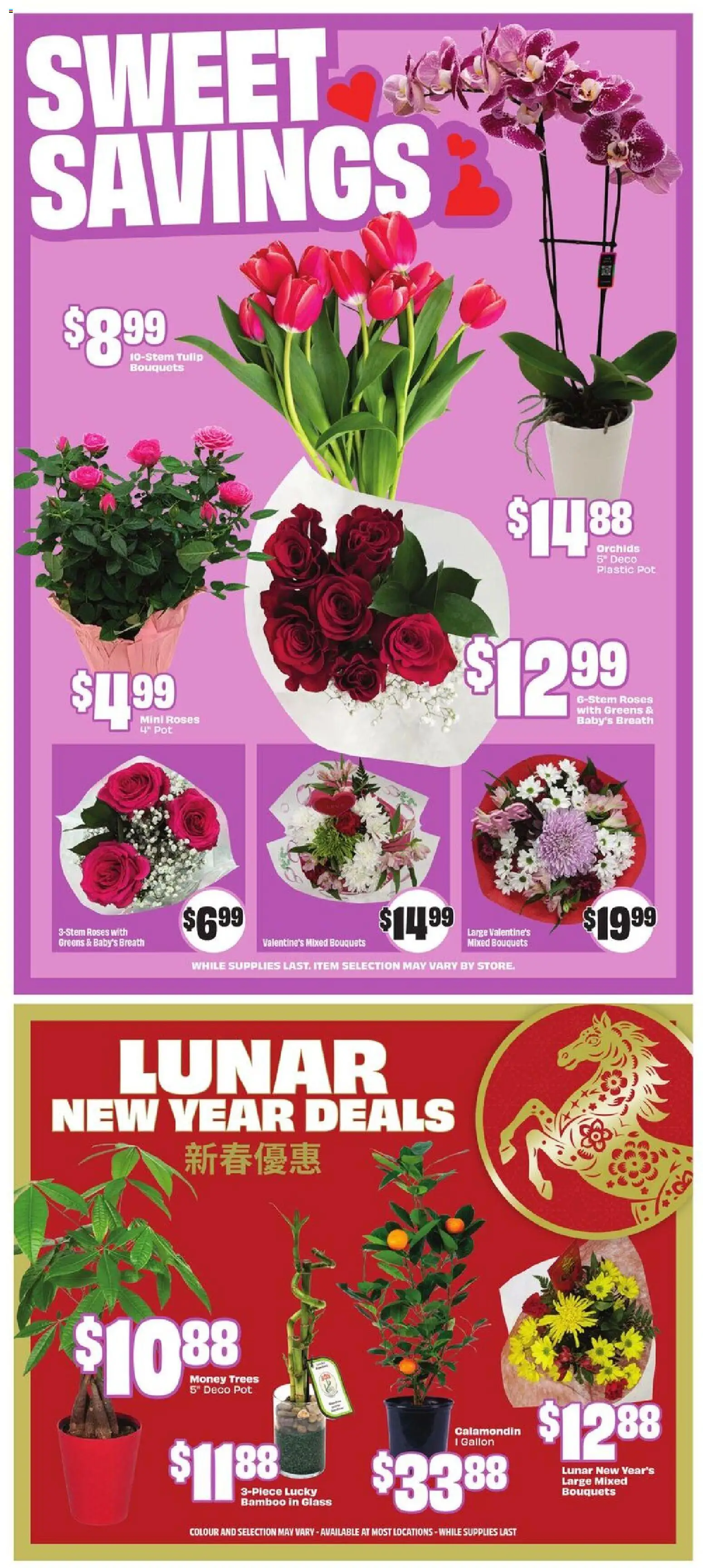 FreshCo flyer valid from 05.02.2026 | Page: 10