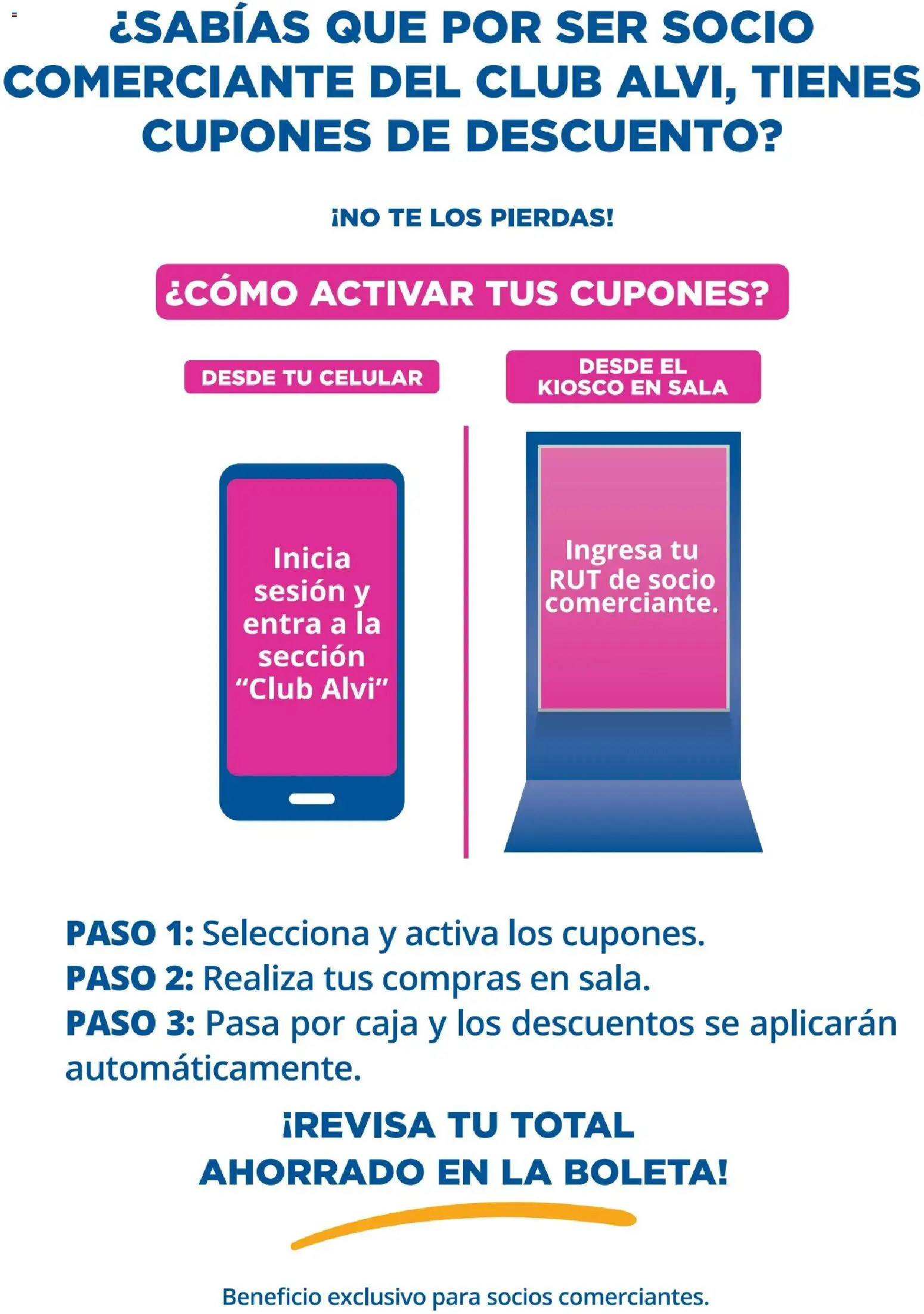 Alvi catálogo │ válido desde el 04.11.2025 | Página: 12 | Productos: Caja, Té