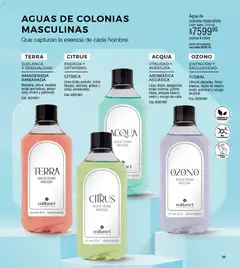 Vista previa Millanel - Catálogo válido desde el 30.03.2026 | Página: 55 | Productos: Lima, Agua