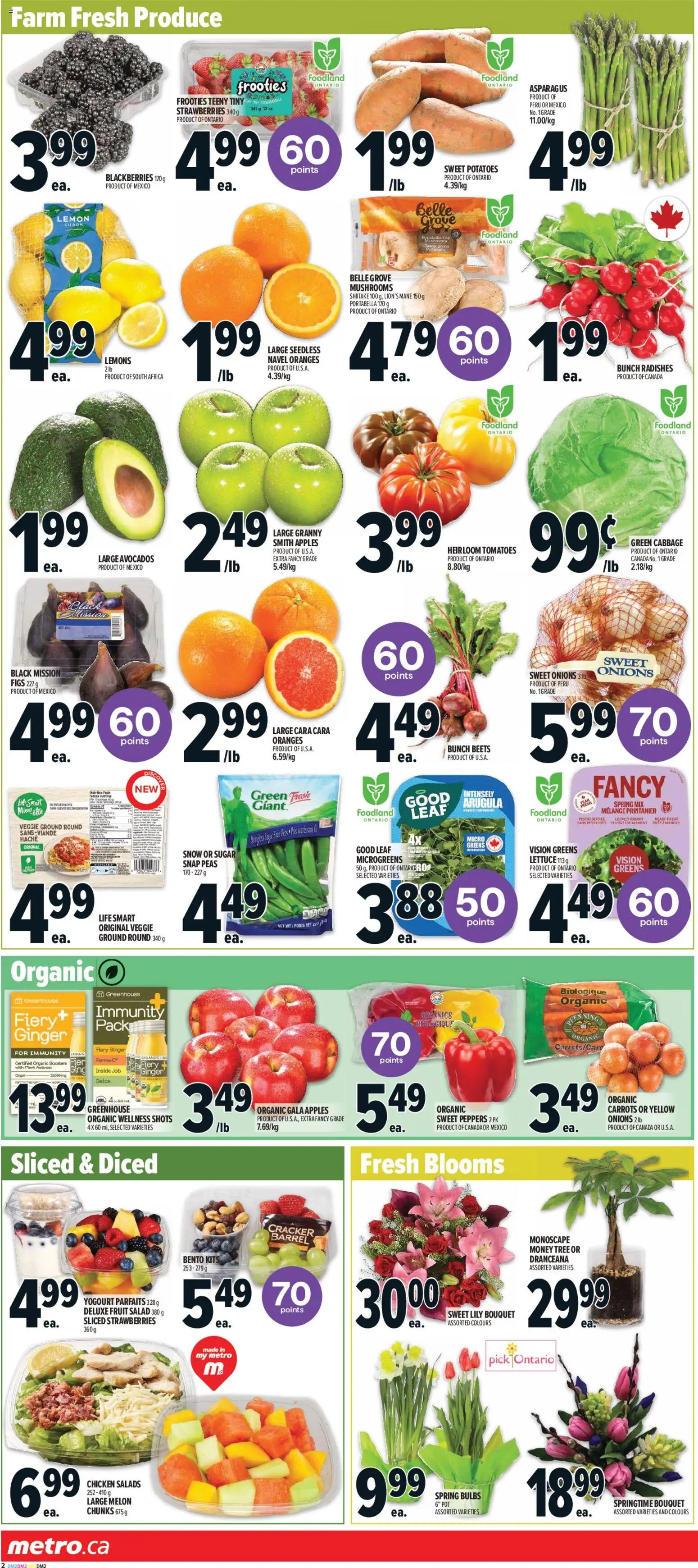 Metro flyer valid from 19.02.2026 | Page: 6 | Products: Strawberries, Salad, Potatoes, Oranges