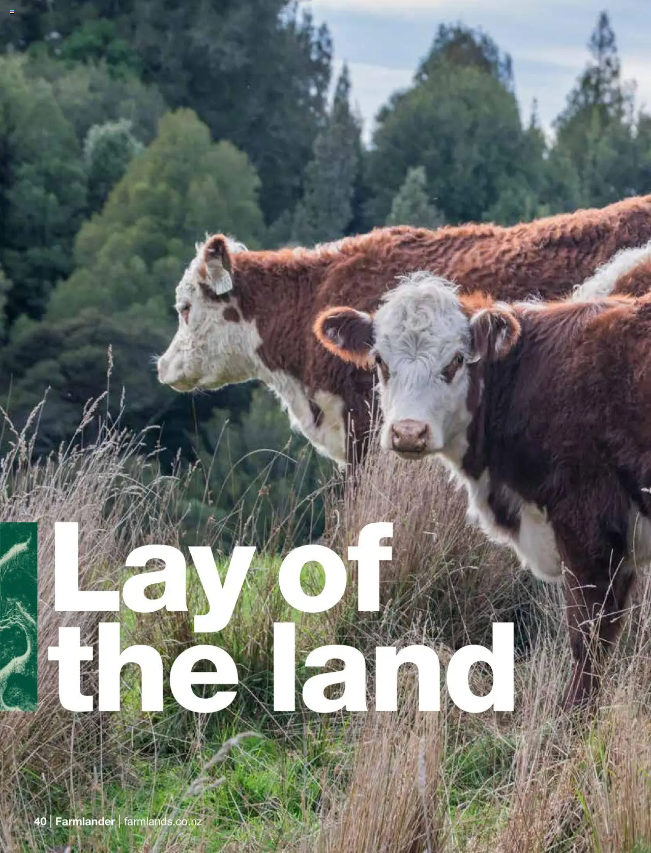 Farmlands catalogue from 01.09.2025 | Page: 42
