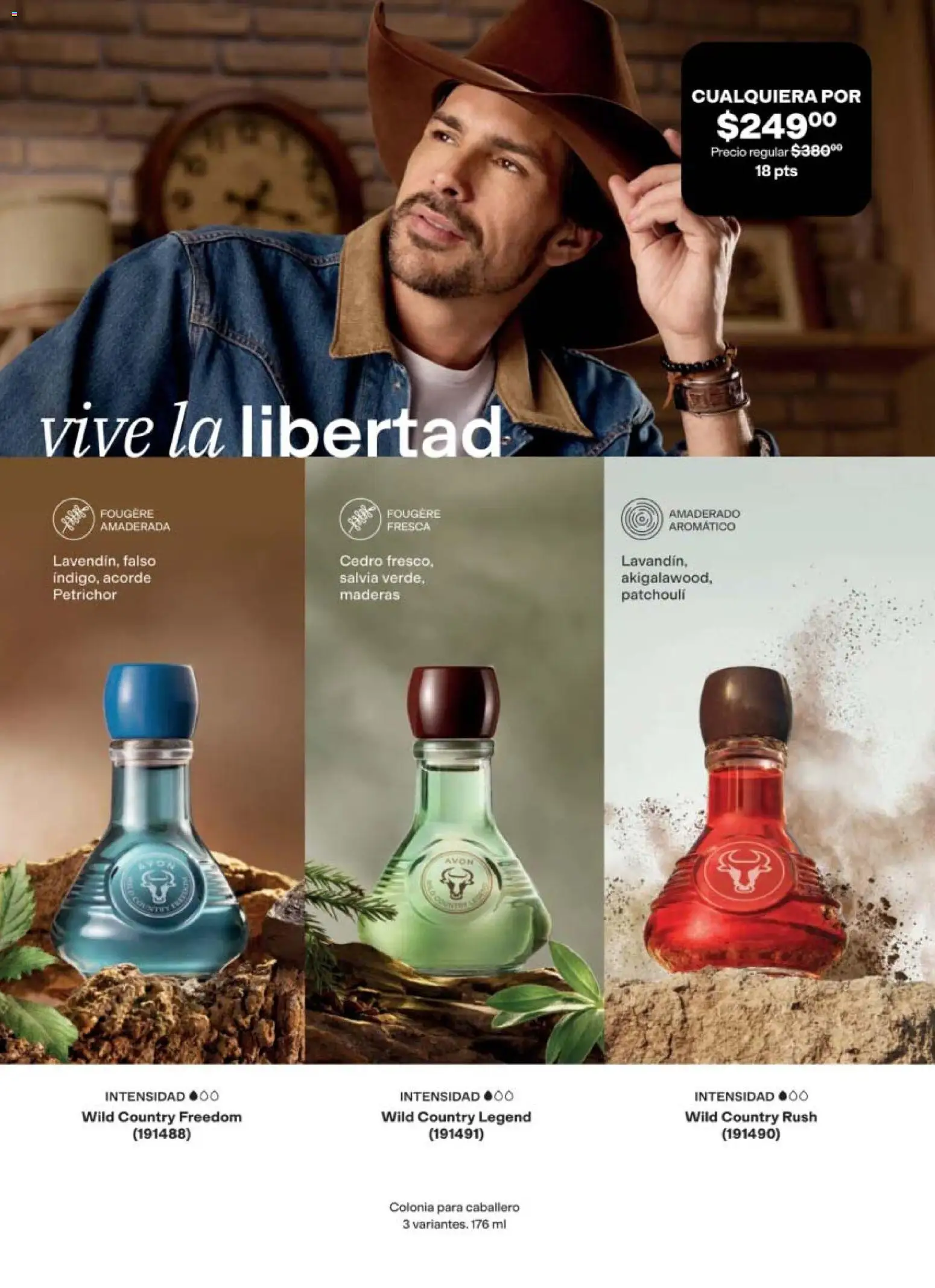 Nuevas ofertas de AVON válidas en toda la República Mexicana desde el 24.04.2026. ¡Encuentra las mejores ofertas en AVON campaña 7 2026! | Página: 107