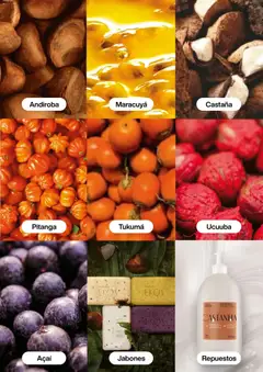 Natura - Catálogo 01A/2026 -  Vista previa de la revista de la tienda Natura valido desde el 02.01.2026 | Página: 102