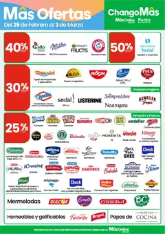 Vista previa Punto Mayorista catálogo válido desde el 25.02.2026 | Página: 3