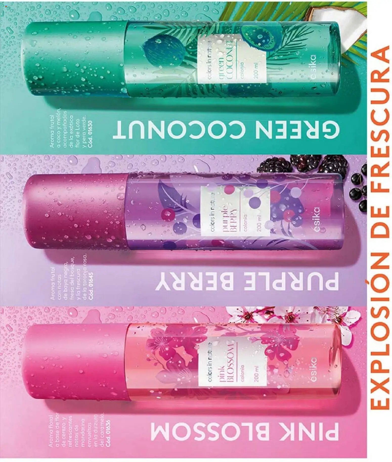 Catálogo Ésika Campaña 3 │ válido desde el 01.02.2026 | Página: 35 | Productos: Toronja, Base, Melón