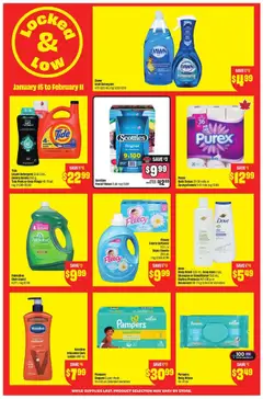 Preview of FreshCo Special Promotion from shop FreshCo valid from 15.01.2026 | Page: 4