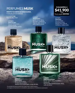 Avon catálogo - Campaña 05/2026 -  Vista previa de la revista de la tienda Avon valido desde el 01.04.2026 | Página: 89 | Productos: Eau de toilette, Aceite