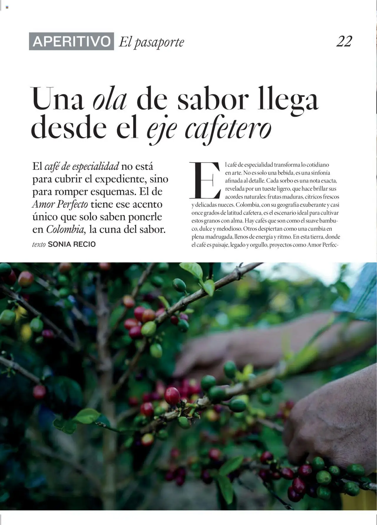 Nuevas ofertas de El Corte Inglés válidas en toda la República Mexicana desde el 29.09.2025. ¡Encuentra las mejores ofertas en El Corte Inglés - Catálogo Gourmet Magazine Otoño! | Página: 22 | Productos: Café, Cuna